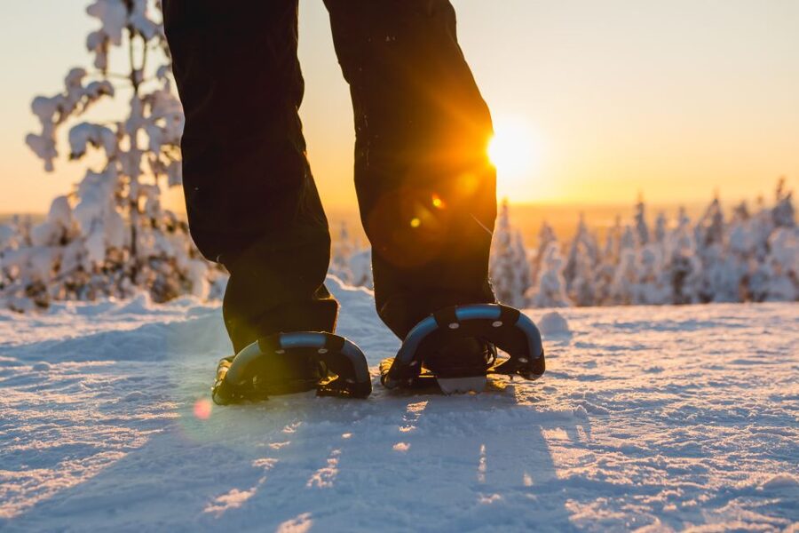 Levi: Scenic Levi Snowshoe Trip - Snowshoeing through the winter forest without sinking