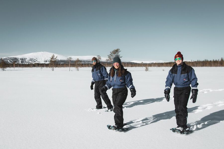 Levi: Scenic Levi Snowshoe Trip - Who should book this Levi snowshoe trip, and who should skip it