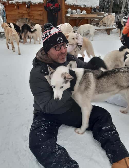Levi: Self-Drive 2 KM Husky Sledding Experience - Huskyfarm meeting point near Levi, Kurjennivantie 118