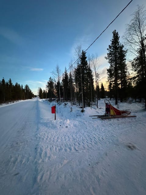 Levi: Self-Drive 2 KM Husky Sledding Experience - Warm laavu return: hot drinks and local snacks matter