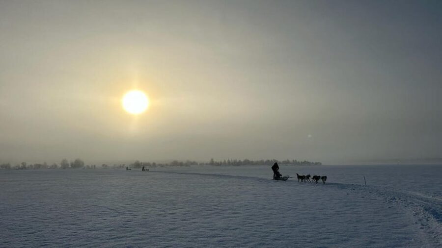 Levi: Self-Drive 5 KM Husky Sledding Experience - Key things to know before you go