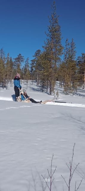 Levi: Self-Drive 5 KM Husky Sledding Experience - The 75 Minutes Of Coaching: Safety, Control, And Dog Handling