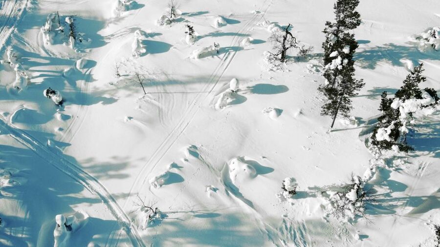 Levi: Snowshoe Adventure in the Wilderness - How The 3.5-Hour Plan Works: Pickup From Sirkka, Minivan To The Wilderness, Return