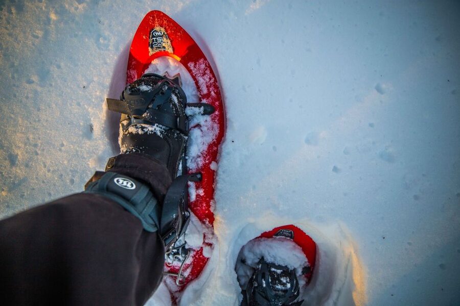 Levi: Snowshoe Adventure in the Wilderness - Secret Nature Stop And Guided Photo Stops: How The Hike Turns Into A Lesson