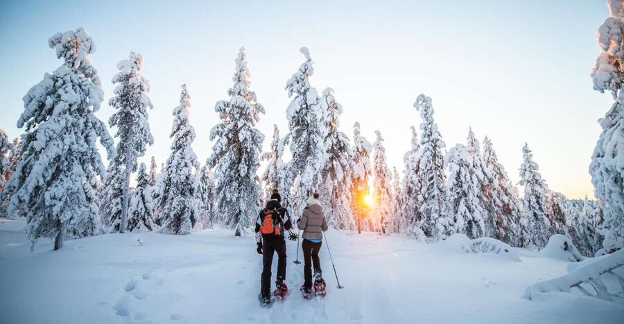 Levi: Snowshoe Adventure in the Wilderness - Price And Value: Is $105 Worth It For 3.5 Hours In Levi?