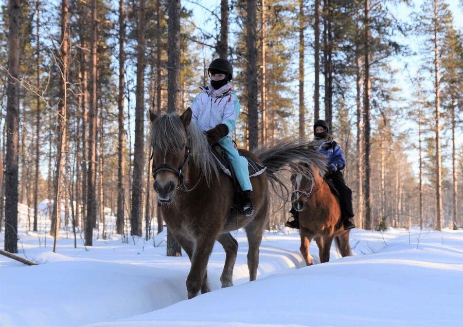 Levi: Snowy Forest Ride and Polar Lights Tours - Key Points You Should Know Before You Go