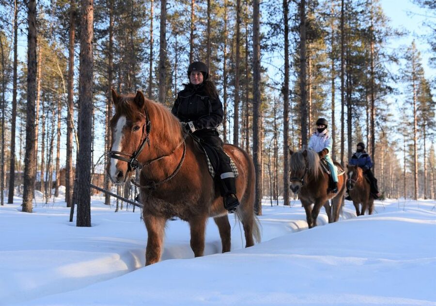 Levi: Snowy Forest Ride and Polar Lights Tours - The Safety Briefing Makes Beginners Relax Fast