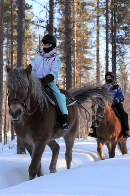 Levi: Snowy Forest Ride and Polar Lights Tours - Photo Stop and That Small Warm Moment That Feels Huge