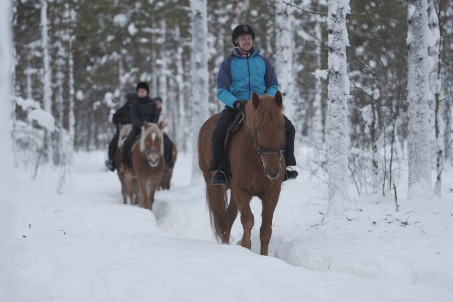 Levi: Snowy Forest Ride and Polar Lights Tours - Meet at Levi Center, Then Let the Tour Handle the Timing