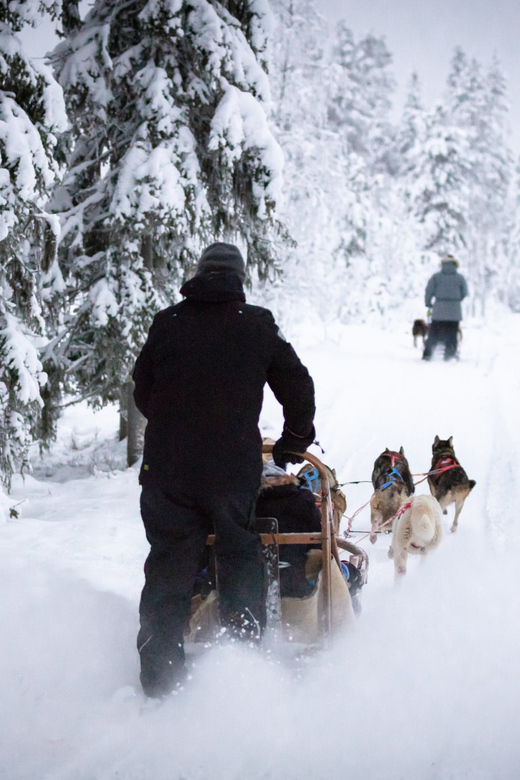 Levi: Winter Highlights Family Day - Reindeer Farm Time: Learning the Routine, Then Riding Too