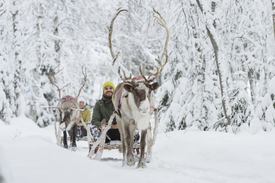 Levi: Winter Highlights Tour with Snowmobiling - Key highlights that make this tour work
