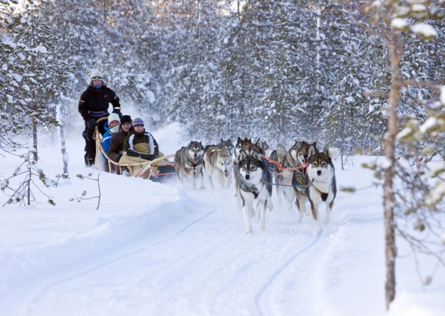 Levi: Winter Highlights Tour with Snowmobiling - How the day starts: pickup timing and meeting point reality