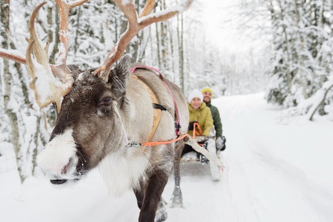 Meet Santa Claus & Santa's Reindeer Ride & Greet Huskies - Price and Value: What You Are Really Paying For
