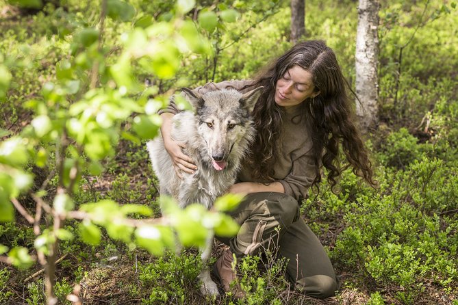 Meet Taivas & the Arctic Wolves - Private Tour - Key things I’d circle before you go