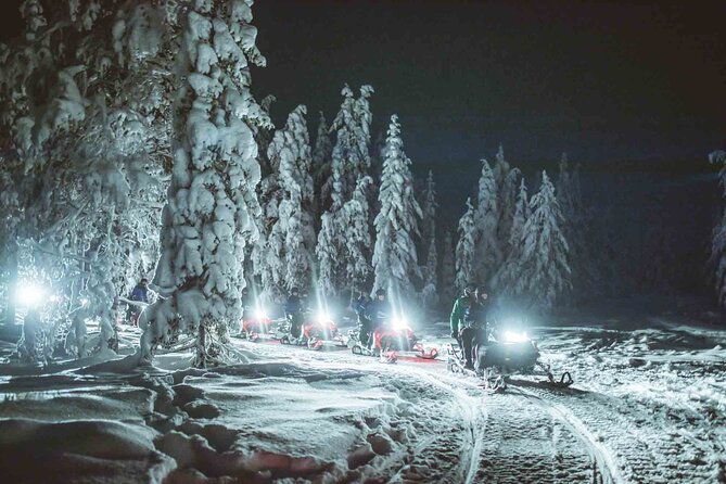 Night Snowmobile Safari, Rovaniemi - Aurora Borealis Reality Check: When the Lights Show Up