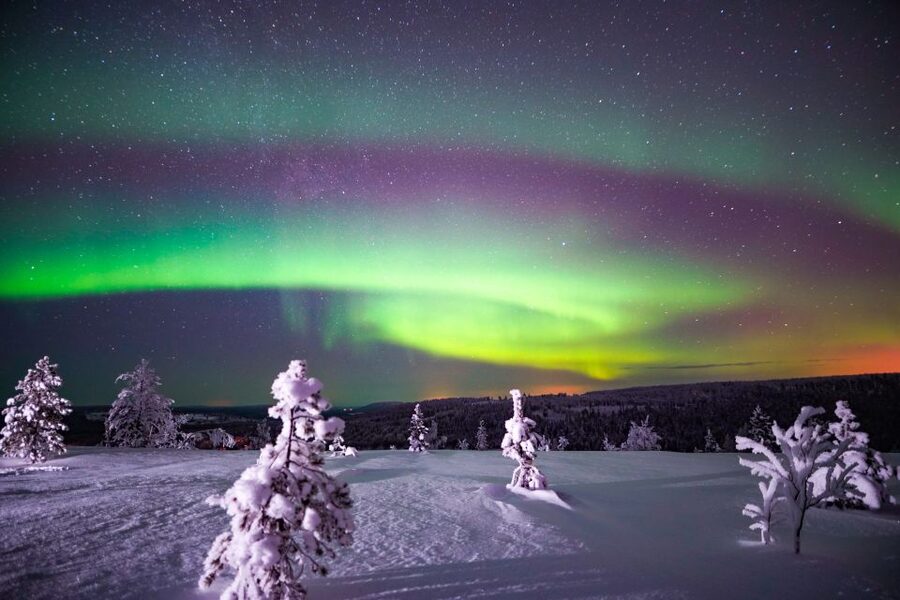 Night Snowshoeing Adventure under the Northern Lights - Should You Book This Snowshoe-and-Aurora Tour?