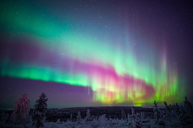 Night Snowshoeing Adventure under the Northern Lights - Value and Price: What $123 Is Paying For