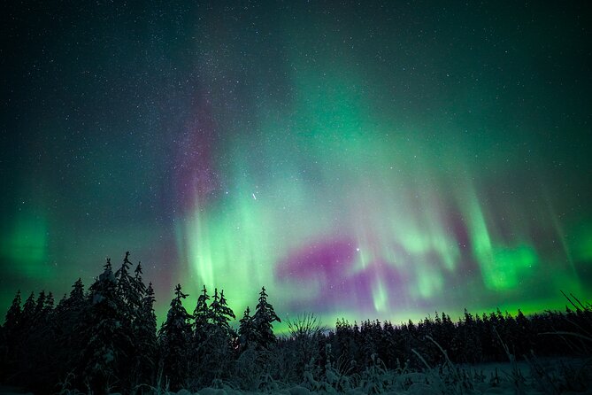 Night Snowshoeing Adventure under the Northern Lights - Getting There in Rovaniemi: Pick-Up Rules That Affect Timing
