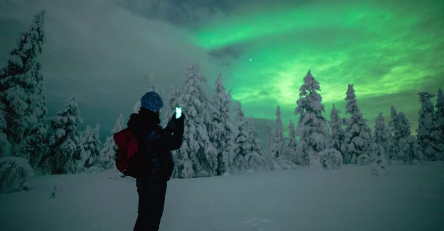 Night Snowshoeing Lapland Experience - Key highlights worth noting