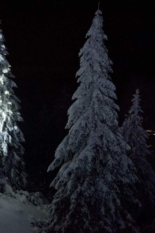Night Snowshoeing Lapland Experience - Rovaniemi at night on snowshoes, in 3 hours