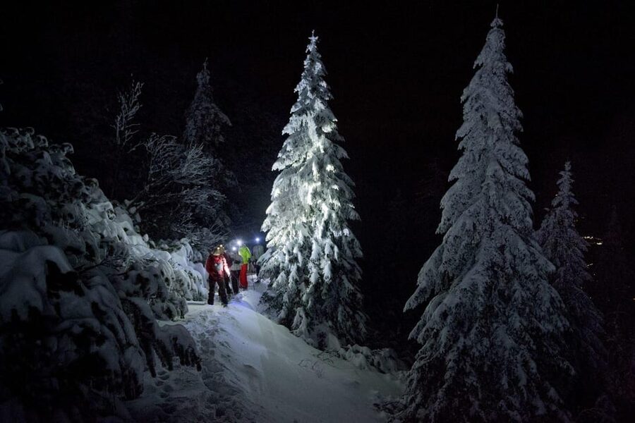 Night Snowshoeing Lapland Experience - The night trek route: forest trails or a frozen lake