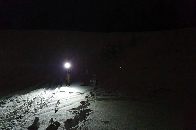Nocturnal Skiing: Experience the Arctic's Magic - Where you start: meeting point, pickup, and the first cold-weather win