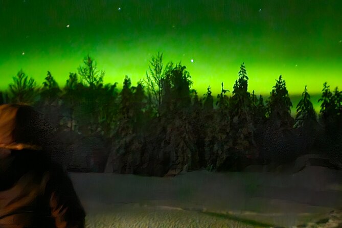 Northern Lights Auroras from Kemi-Tornio with Pickup - WhatsApp coordination: how to make sure you stay with the group