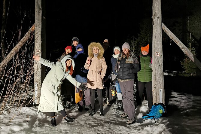 Northern Lights Auroras from Kemi-Tornio with Pickup - Price and value: is $118.63 fair for a 3-hour Aurora hunt?