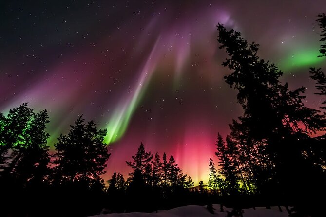 Northern Lights Hunt from Rovaniemi with Folk Tales and Snacks over Campfire - Guides and the small details that make or break the night