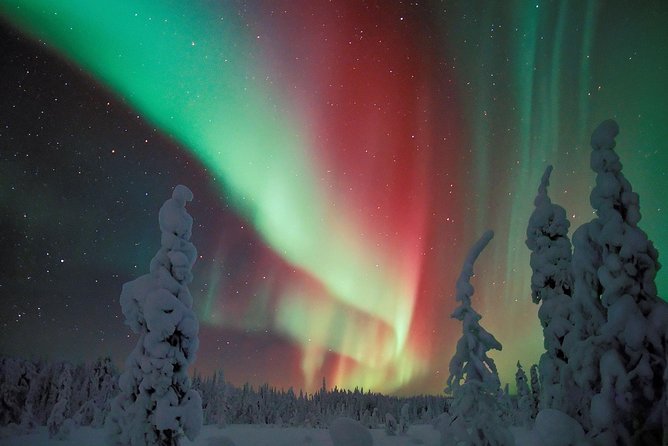 Northern Lights Hunt Including Snacks on Campfire from Levi - Campfire snacks and hot drinks: comfort that keeps your focus
