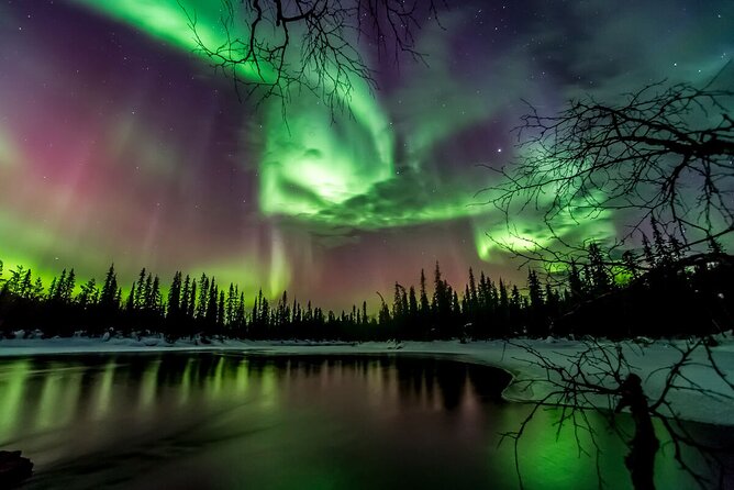 Northern Lights Hunt Including Snacks on Campfire from Rovaniemi - Stop at the dark viewing spot near the lake or forest