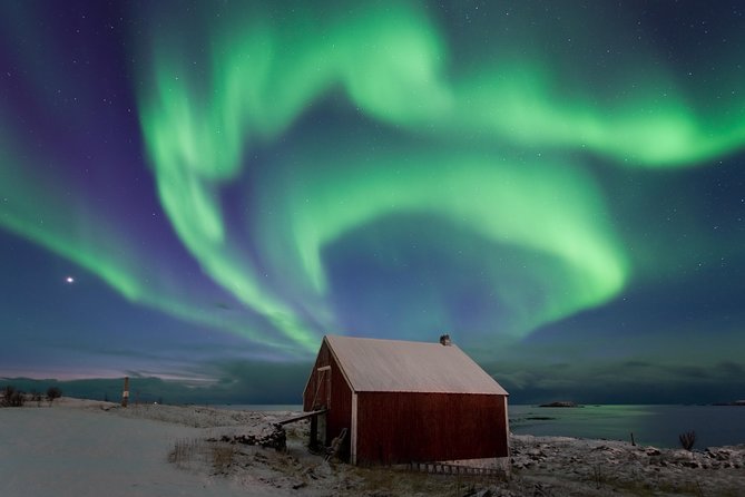 Northern Lights Hunt Including Snacks on Campfire from Rovaniemi - Snacks at the fire: what to expect when it is cold