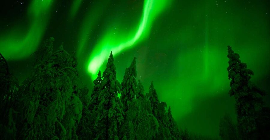 Northern Lights Hunting Adventure in Lapland - Why This Rovaniemi Aurora Hunt Works Better Than the Usual Stop-and-Stare
