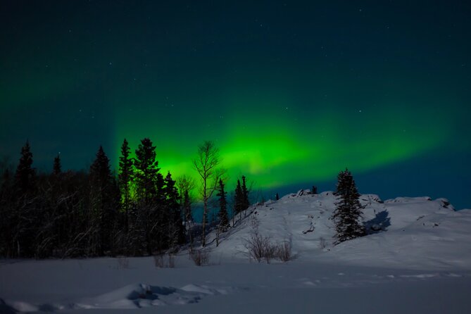 Northern Lights Hunting of Rovaniemi - Rovaniemi at 8:00 pm, when the city goes quiet