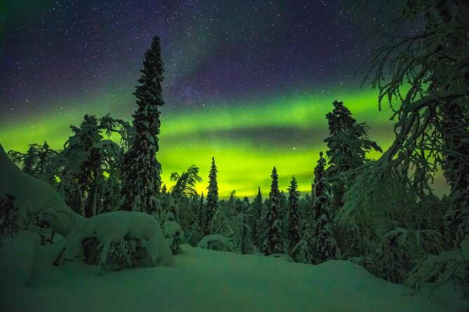 Northern Lights Hunting of Rovaniemi - Aurora photo support that helps you move beyond point-and-shoot
