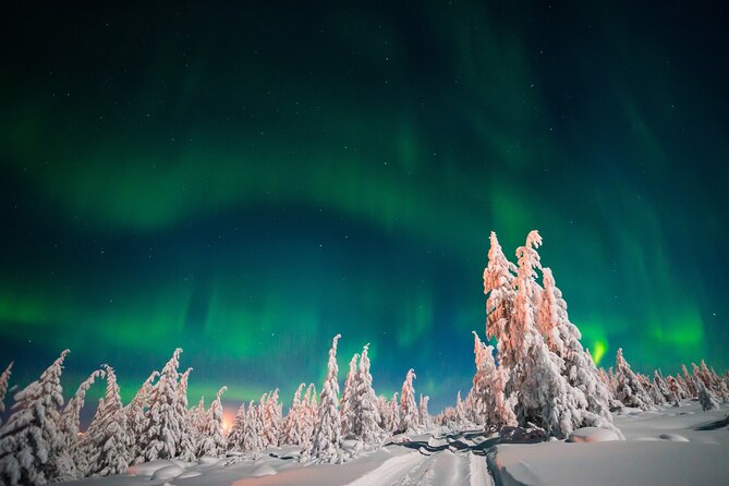 Northern Lights Hunting of Rovaniemi - Group size, comfort, and who this tour suits best