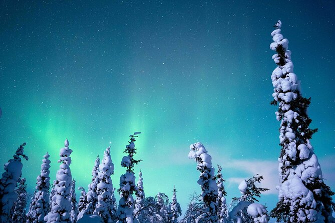 Northern Lights Hunting Photography Tour in Levi - Pickup and timing: the part that can quietly make or break your night