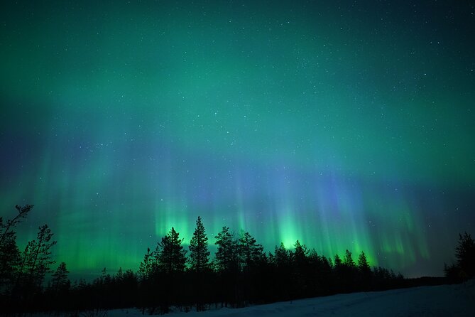 Northern Lights Hunting Photography Tour in Rovaniemi Finland - Key things I’d circle before you book