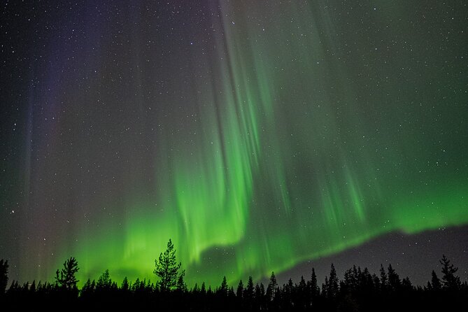 Northern Lights Hunting with a photographer (Only small groups) - Meeting point, pickup radius, and the evening timing window