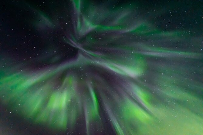 Northern Lights Hunting with a photographer (Only small groups) - Learning to read the aurora apps like a local