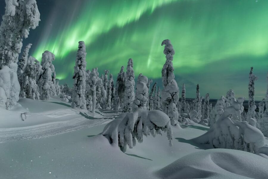 Northern Lights Hunting with Aurora Workshop - Minibuses, night vision, and the quiet rhythm of a good watch