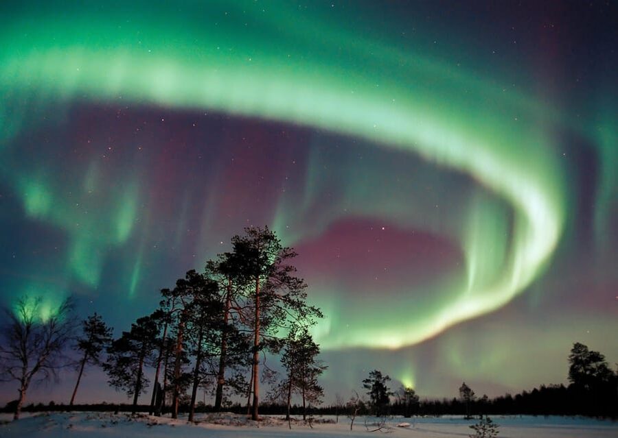 Northern Lights Hunting with Aurora Workshop - Forecasting and dark-sky hunting around Inari municipality