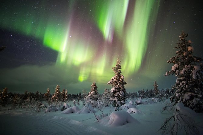 Northern Lights Hunting with Snowmobiles - The 3.5-Hour Experience Flow, From Pekankatu to the Return Ride