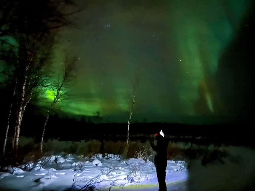 Northern lights private tour Rovaniemi - Why a private Northern Lights tour beats trying solo from Rovaniemi