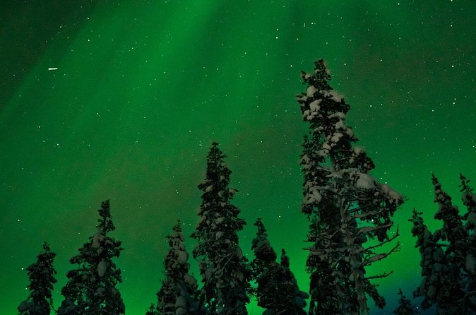 Northern lights Reindeer Sledge Ride - Getting there and using a mobile ticket in Rovaniemi
