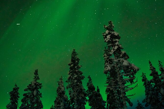 Northern Lights Reindeer Sledge Ride - How the 3-hour timeline feels from pickup to camp warmth