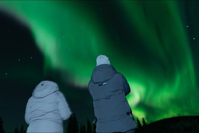 Northern Lights Rovaniemi: Guaranteed Tour with Local Guide - Key highlights you should know before you go