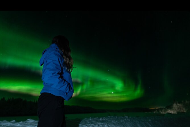 Northern Lights Rovaniemi: Guaranteed Tour with Local Guide - What this Northern Lights hunt is really built for