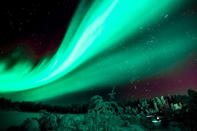 Northern Lights Rovaniemi: Guaranteed Viewing & Unlimited Mileage - Guaranteed Viewing, Unlimited Mileage, and the Real Odds Game