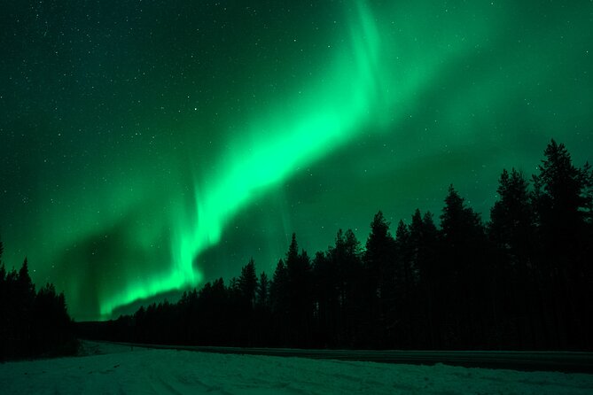 Northern Lights Rovaniemi: Guaranteed Viewing & Unlimited Mileage - Starting Point in Rovaniemi: Pickup Timing and What It Means